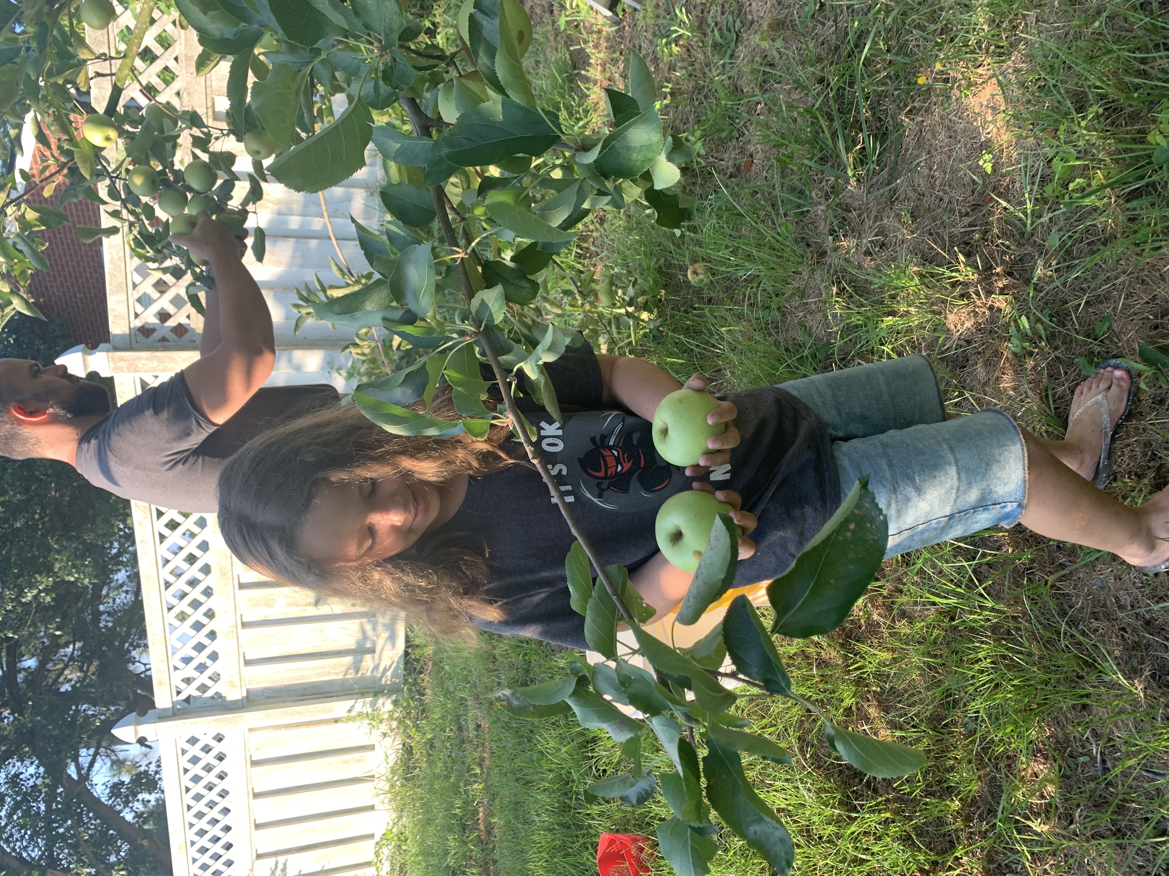 Harvest 2022